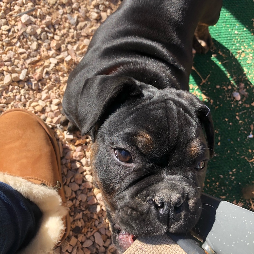 Meet your Posher, Magaly